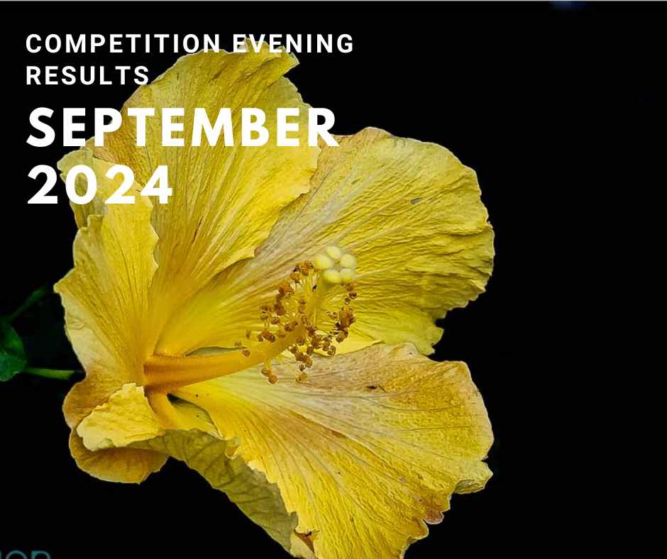 Club Competition Results: September 2024