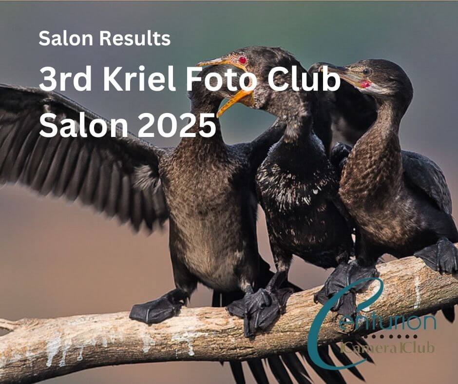 Salon Results: 3rd Kriel Foto Club Salon 2025