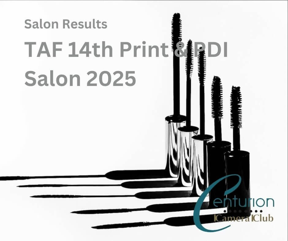 Salon Results: TAF 14th Print & PDI Salon 2025