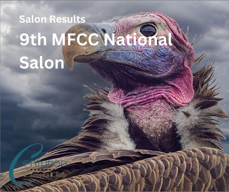 Salon Results: 9th MFCC Salon 2025