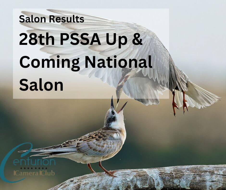 Salon Results: 28th PSSA Up & Coming National Salon