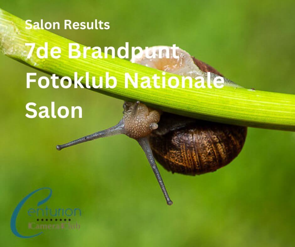 Salon Results: 7de Brandpunt Fotoclub Nationale Salon